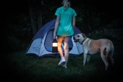 Nebo BIg Poppy RC Lantern 17 Nebo BIg Poppy RC Lantern -Camping Products Store eneb6908 16 fullsize